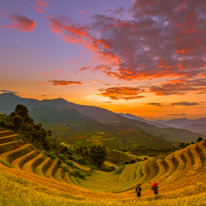 namden-vietnam-9913878_640